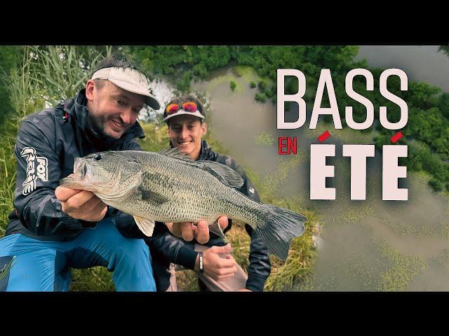 Sortie Bass avec Sylvain Legendre et Pierre #foxrage #legendre