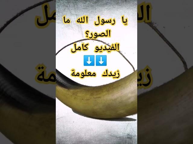 يا رسول الله ما الصور؟ زيدك معلومة