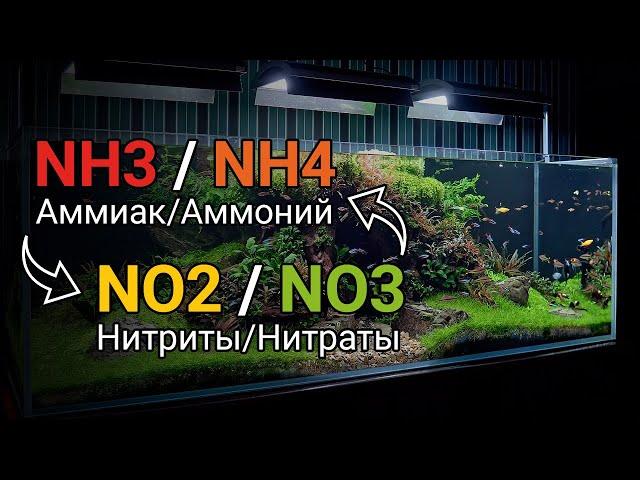 Аммиак NH3 и аммоний NH4, нитриты NO2 и нитраты NO3 в воде аквариума. Азотный цикл в воде.