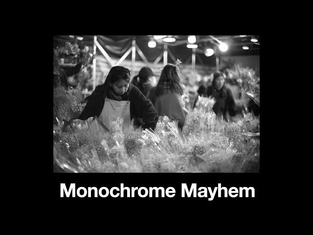 Monochrome mayhem  - ft. Leica M11M / M10M, Noctilux E58, Hasselblad 907x 100c and more