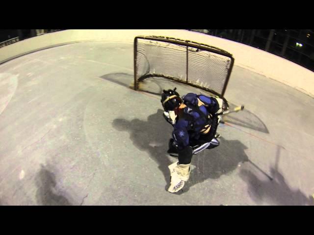 Holiday Park Hockey Compilation for 12/17/2015