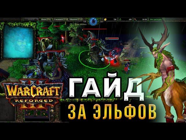 Гайд За ЭЛЬФОВ для НОВИЧКОВ - WarCraft 3:Reforged - Как играть за НОЧНЫХ ЭЛЬФОВ в ВАРКРАФТ 3