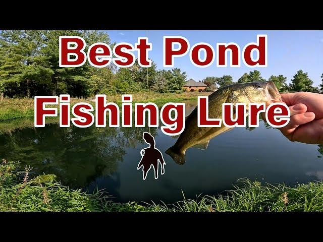 WHAT is the BEST fishing lure to use in Ponds? Find Out