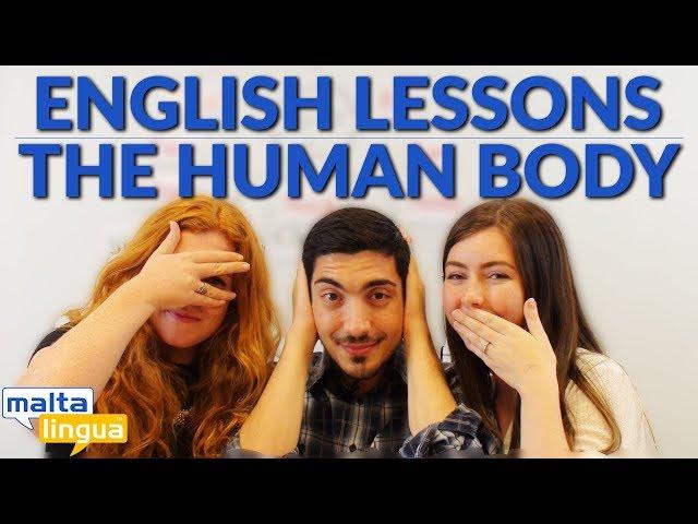 The Human Body - Free English Vocabulary Lesson A2-B1 (Pre-intermediate)