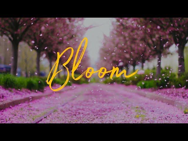 Philly in Bloom