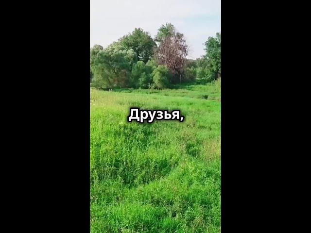   Вы знали, что прогулка в парке может быть не просто приятным времяпрепровождением, но и насто...