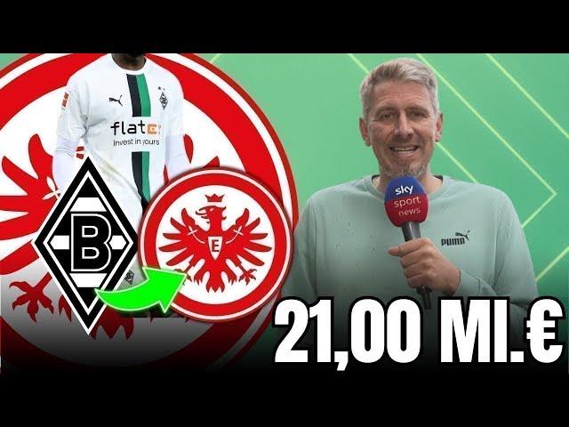 GLADBACH-STAR wechselt zur SGE - TRANSFER perfekt | eintracht frankfurt nachrichten heute