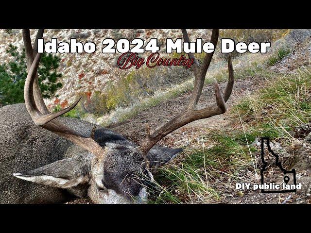 Idaho 2024 Mule Deer Hunt Public Land