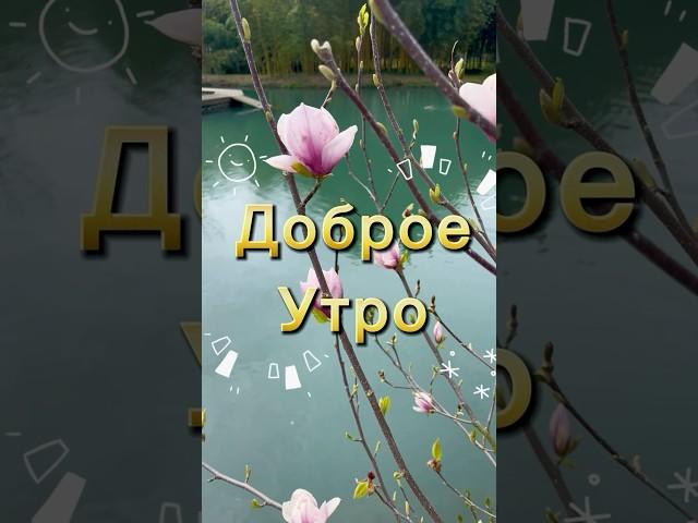 Доброе утро, пусть день будет прекрасным