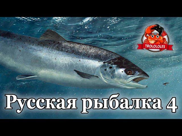 Русская рыбалка 4 Лосось атлантический