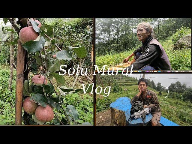 “Exploring Apple Farms in Solukhumbu | Meeting an 80-Year-Old Local Shaman | Rustic Charm”