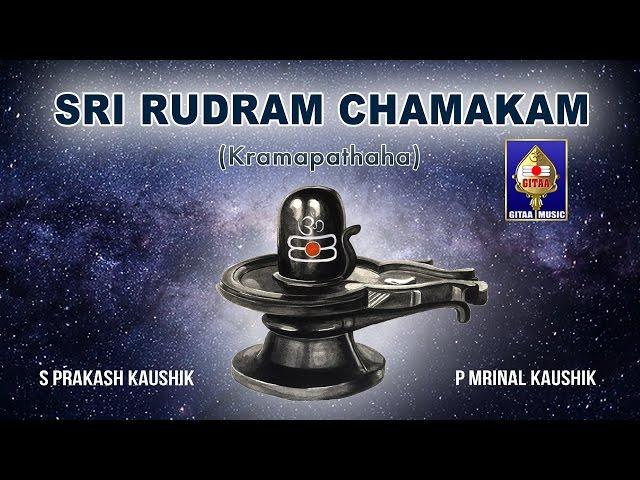 Sri Rudram Chamakam | S Prakash Kaushik & P Mrinal Kaushik | Powerful Vedic Chants for Prosperity