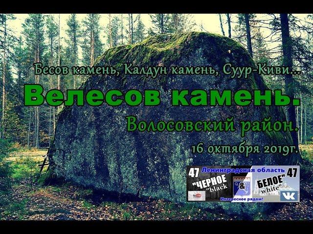 Волосовский р-он, Велесов камень, 16.10.19г.