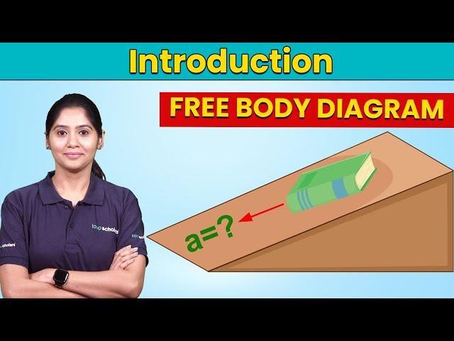 Free Body Diagrams in Physics: A Step-by-Step Guide from Toppscholars | Physics