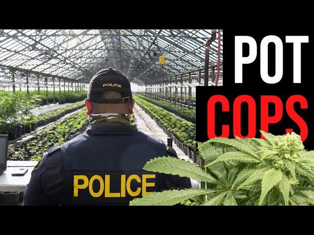Weeding out the mob: Policing pot even where it's now legal