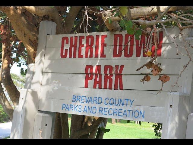 Cherie down park Cape Canaveral