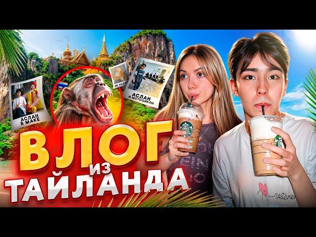 ЗАРАЗИЛСЯ БЕШЕНСТВОМ? ВЛОГ ИЗ ТАЙЛАНДА // Аслан Шукаша, Sleepy