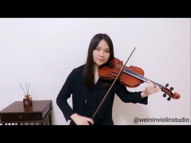 Rihanna - Lift Me Up (From Black Panther: Wakanda Forever) - Violin Cover