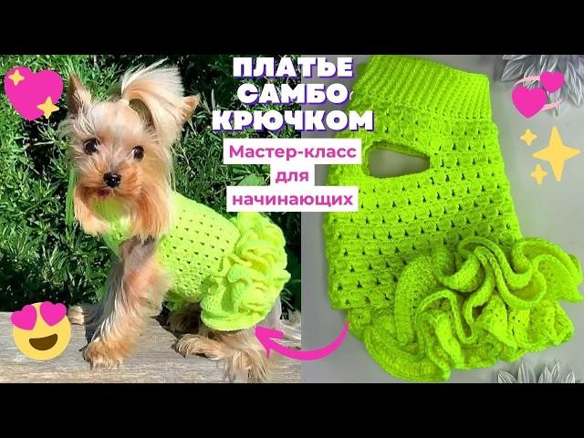 Платье "Самбо" для мелких собак Йорков крючком:  Мастер класс по вязанию для начинающих