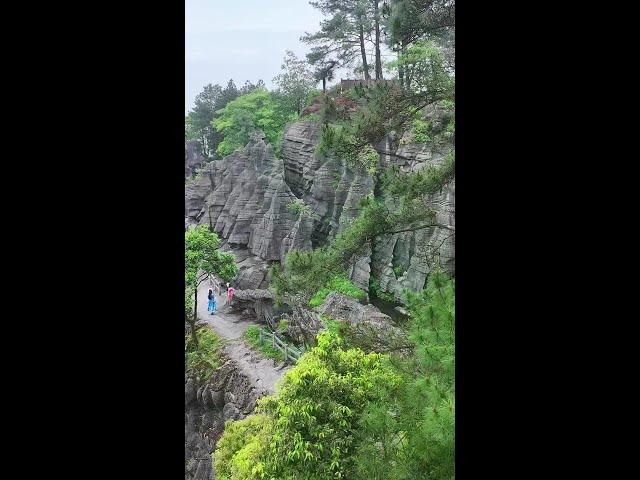 重庆万盛石林，形成于距今4.65—6亿年的海洋环境中，是我国目前考证最为古老的石林，也是中国第二大石林,被誉为“石林之祖”。#石林#自然奇观#大自然的鬼斧神工#旅行