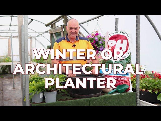 How to Create a Winter or Architectural Planter for the Garden | Step-by-Step Guide