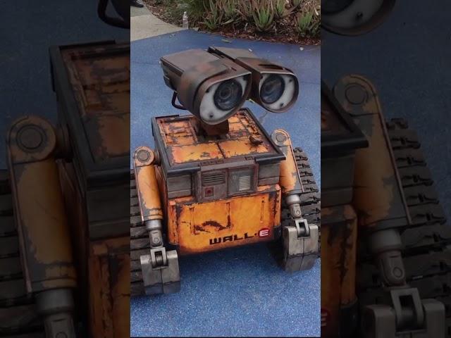 Walle in Real life! We love Wall-e! #shorts