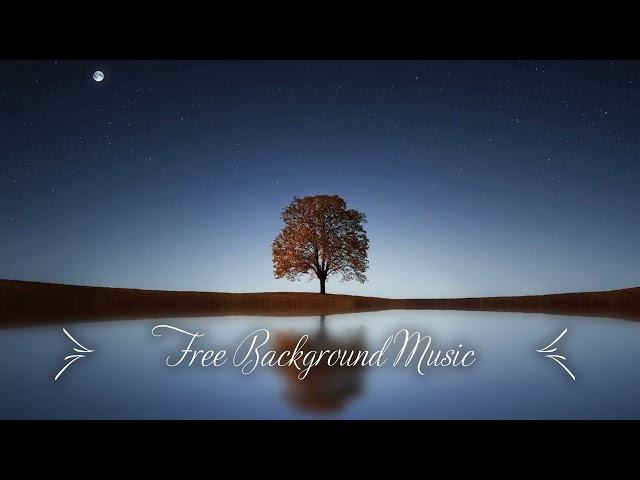 1 Hour Upbeat Background Music Best MBB Music Collection Free Download, No Copyright