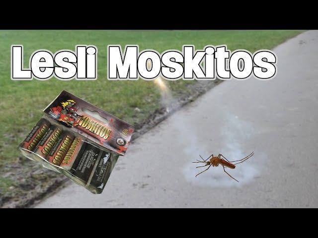 LESLI MOSKITOS! / Die wohl besten Schnaken ;) / Pyro Funken