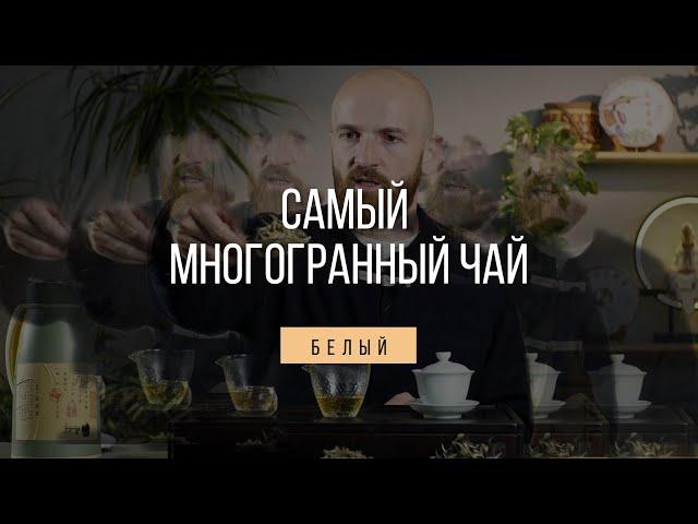 БЕЛЫЙ КИТАЙСКИЙ ЧАЙ - МИФЫ, ЛЕГЕНДЫ, РЕАЛЬНЫЕ ФАКТЫ