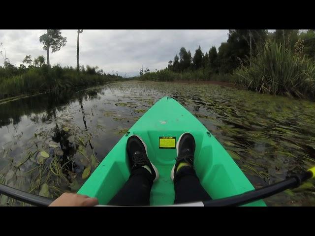 CHRISTCHURCH | Study Abroad Blog | "Wanderlust and City Dust"