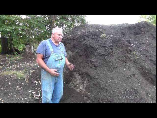 Best Potting Soil Recipe