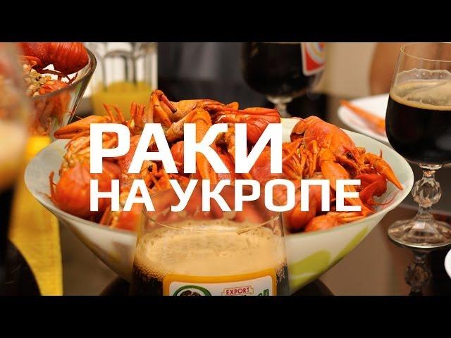 Как варить раков | Рецепт: раки на укропе