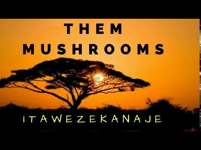 Itawezekanaje ...by mushroom