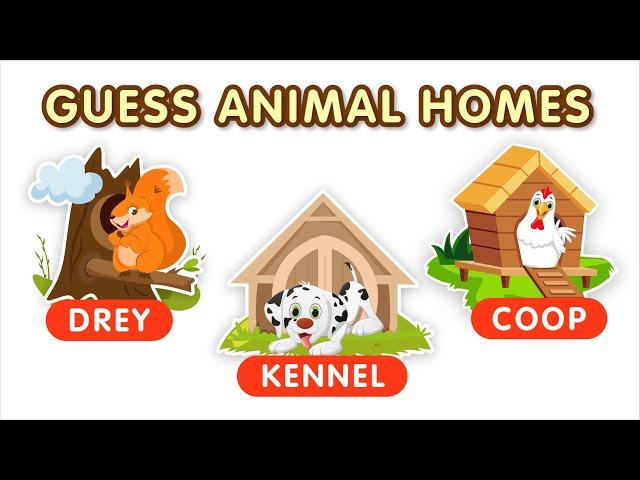 Guess Home of Animals | 30 Animals and their Homes