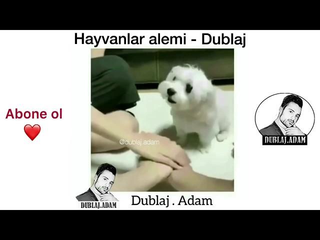 Hayvanlar Alemi Dublaj - Full - 2018