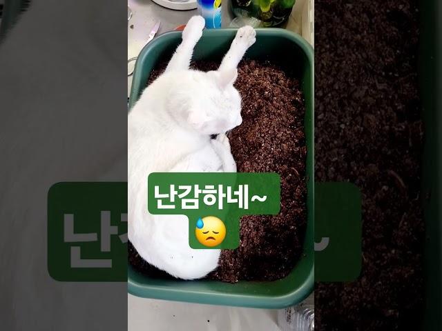 내 잘못이야 ㅠ