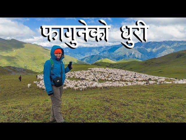 FAGUNE DHURI  || WAY TO WONDER LAND THANKUR || THE SNOW LEOPARD TREK