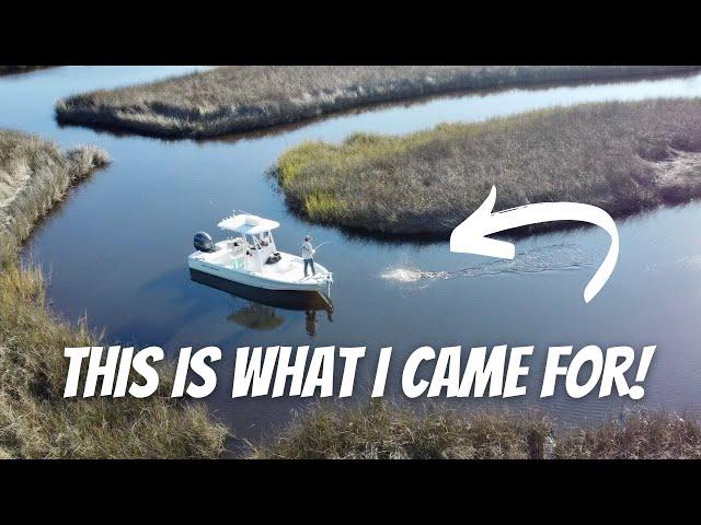 I Took My 22ft Bay Boat In This Tiny Saltwater Creek For NONSTOP ACTION