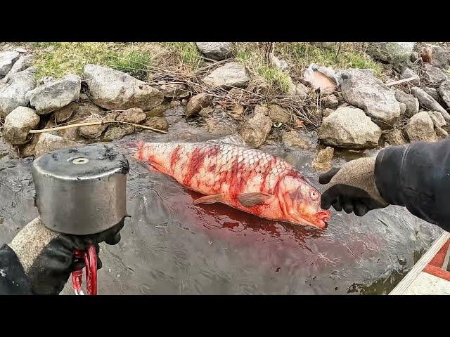 Dead Body Found Washed Onto Shore While Magnet Fishing!
