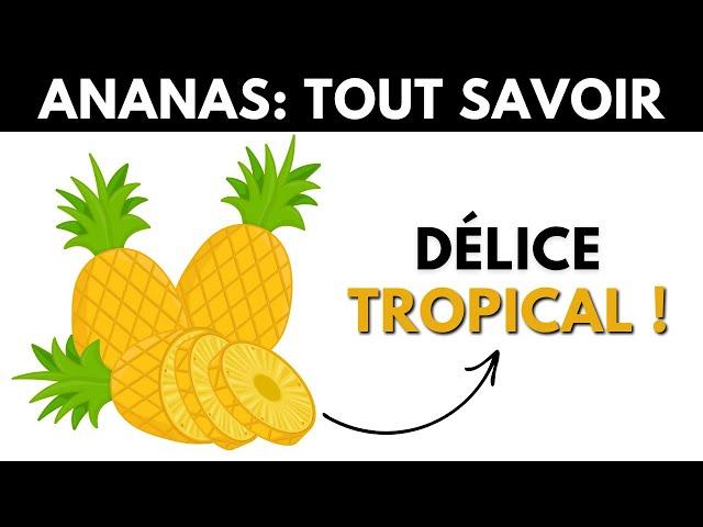 Ananas : ses dangers et bienfaits pour la santé - Dr Santé