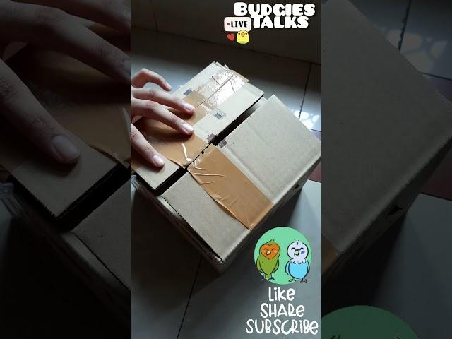 #Unboxing #Baby Parakeets .#Cute Budgies.