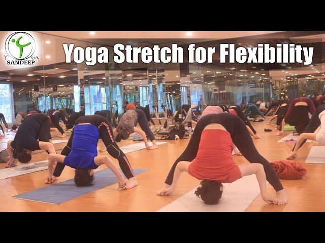 Yoga Stretch for Flexibility | 50 Minute Hatha Yoga Class | Yoga With Sandeep | Vietnam