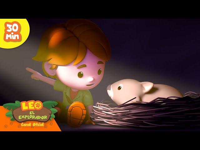 ¡RESCATES DE ANIMALES LEGENDARIOS!  Niño conoce a Amigo  | Leo, El Explorador | Animación