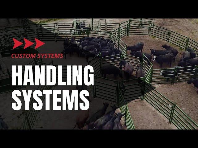 Custom Cattle Handling System | Safe and Efficient Cattle Handling | Showcase