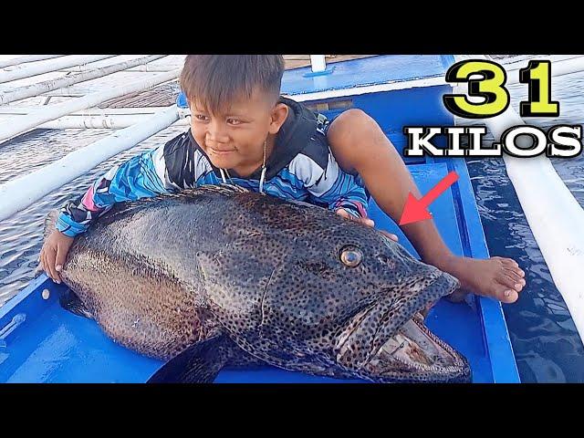 GIANT FISH HALO'S KASING laki ni idol Inday  | Bryan Fishing Tv