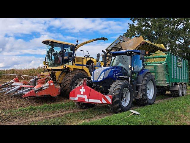 Blue Power im Flachland  Maisernte 2024 mit New Holland T6.175 I Bunkerhäcksler | Kemper C4500