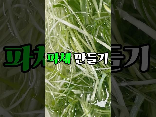 파채 집에서 간단하게 만들기#파채#파채만들기#대파#파채써는법