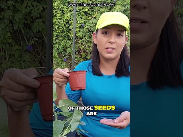 Grow Your Garden: Essential Seed Sowing Techniques