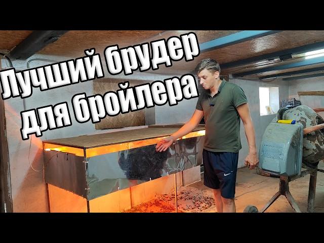 Лучший брудер для птицы!