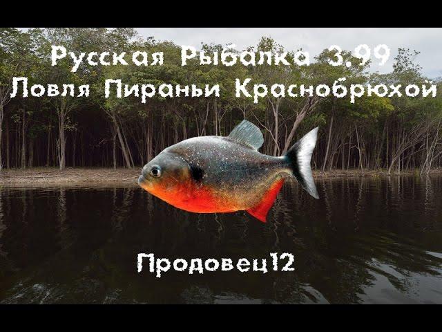 Русская рыбалка 3.99 Ловля Пираньи краснобрюхой на наживку Часть 1